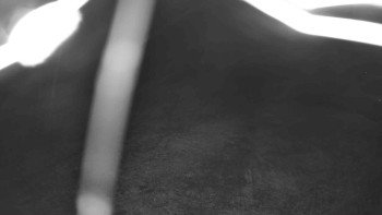 Snímek    3.11.2025 v 01:45