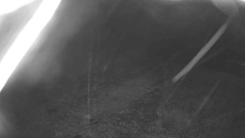 Snímek    3.11.2025 v 02:30