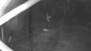 Snímek    3.11.2025 v 04:30