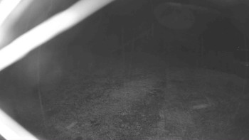 Snímek    3.11.2025 v 04:45