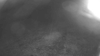 Snímek    3.11.2025 v 05:30