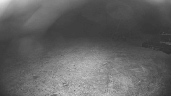 Snímek    4.11.2025 v 02:00