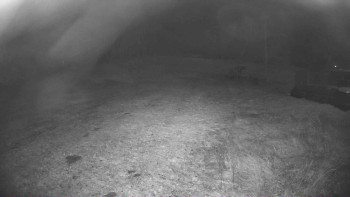 Snímek 4.11.2025 v 19:30