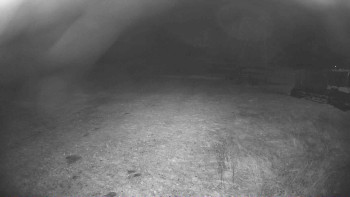 Snímek 5.11.2025 v 02:30