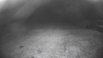 Snímek 5.11.2025 v 02:45