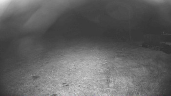 Snímek 5.11.2025 v 05:00