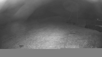 Snímek 7.11.2025 v 03:00