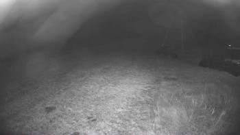 Snímek 8.11.2025 v 04:30