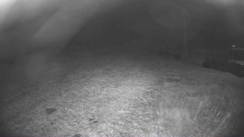 Snímek 8.11.2025 v 05:00