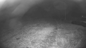 Snímek 8.11.2025 v 19:15