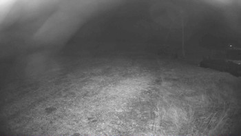 Snímek 8.11.2025 v 21:15