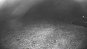 Snímek 8.11.2025 v 22:00