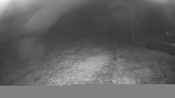 Snímek 9.11.2025 v 20:30