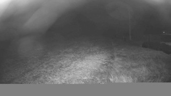 Snímek 10.11.2025 v 05:00