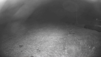 Snímek 14.11.2025 v 02:15