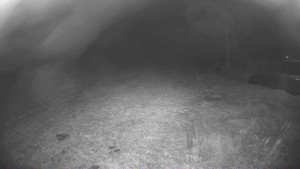 Lyžařský vlek Karlova Studánka - Sjezdovka - 14.11.2025 v 20:00 Lyžařský vlek Karlova Studánka - Sjezdovka - 14.11.2025 v 20:00