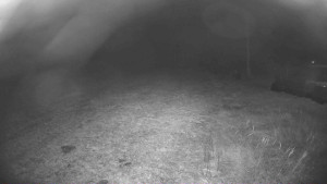 Lyžařský vlek Karlova Studánka - Sjezdovka - 15.11.2025 v 00:00 Lyžařský vlek Karlova Studánka - Sjezdovka - 15.11.2025 v 00:00