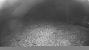 Lyžařský vlek Karlova Studánka - Sjezdovka - 15.11.2025 v 04:30 Lyžařský vlek Karlova Studánka - Sjezdovka - 15.11.2025 v 04:30