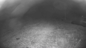 Lyžařský vlek Karlova Studánka - Sjezdovka - 15.11.2025 v 05:00 Lyžařský vlek Karlova Studánka - Sjezdovka - 15.11.2025 v 05:00