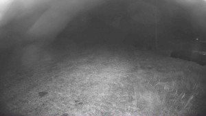 Lyžařský vlek Karlova Studánka - Sjezdovka - 15.11.2025 v 06:00 Lyžařský vlek Karlova Studánka - Sjezdovka - 15.11.2025 v 06:00