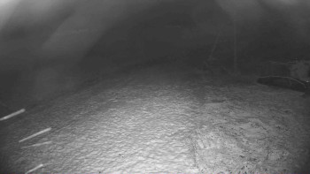 Snímek 18.11.2025 v 01:00