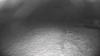 Snímek 18.11.2025 v 03:45