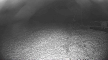 Snímek 18.11.2025 v 04:45