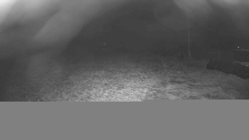 Snímek 20.11.2025 v 22:15