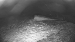 Lyžařský vlek Karlova Studánka - Sjezdovka - 10.12.2025 v 18:15 Lyžařský vlek Karlova Studánka - Sjezdovka - 10.12.2025 v 18:15