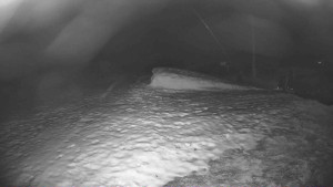 Lyžařský vlek Karlova Studánka - Sjezdovka - 10.12.2025 v 19:00 Lyžařský vlek Karlova Studánka - Sjezdovka - 10.12.2025 v 19:00