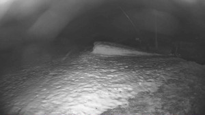 Lyžařský vlek Karlova Studánka - Sjezdovka - 10.12.2025 v 21:15 Lyžařský vlek Karlova Studánka - Sjezdovka - 10.12.2025 v 21:15