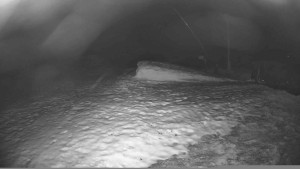 Lyžařský vlek Karlova Studánka - Sjezdovka - 10.12.2025 v 22:30 Lyžařský vlek Karlova Studánka - Sjezdovka - 10.12.2025 v 22:30