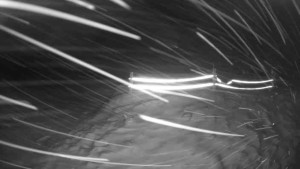 Lyžařský vlek Karlova Studánka - Sjezdovka - 2.1.2026 v 03:30 Lyžařský vlek Karlova Studánka - Sjezdovka - 2.1.2026 v 03:30