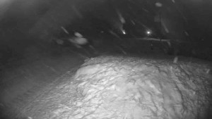 Lyžařský vlek Karlova Studánka - Sjezdovka - 7.1.2026 v 22:45 Lyžařský vlek Karlova Studánka - Sjezdovka - 7.1.2026 v 22:45