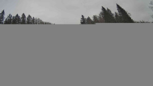 Lyžařský vlek Karlova Studánka - Sjezdovka - 16.2.2026 v 10:15 Lyžařský vlek Karlova Studánka - Sjezdovka - 16.2.2026 v 10:15