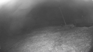 Lyžařský vlek Karlova Studánka - Sjezdovka - 20.4.2026 v 02:45 Lyžařský vlek Karlova Studánka - Sjezdovka - 20.4.2026 v 02:45