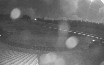 Snímek 7.11.2025 v 05:45