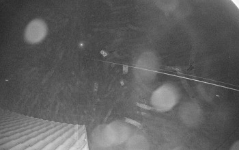 Snímek 14.11.2025 v 03:15