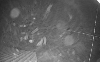 Snímek 14.11.2025 v 03:30