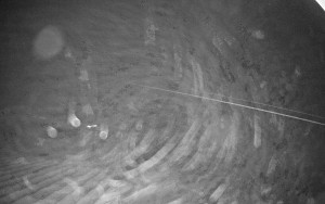 Sport areál České Petrovice - Sjezdovka B - 14.12.2025 v 00:45 Sport areál České Petrovice - Sjezdovka B - 14.12.2025 v 00:45