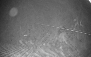 Sport areál České Petrovice - Sjezdovka B - 14.12.2025 v 01:45 Sport areál České Petrovice - Sjezdovka B - 14.12.2025 v 01:45