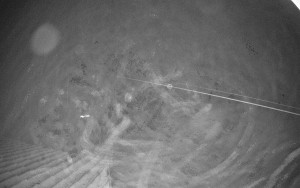 Sport areál České Petrovice - Sjezdovka B - 14.12.2025 v 04:30 Sport areál České Petrovice - Sjezdovka B - 14.12.2025 v 04:30