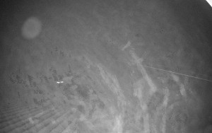 Sport areál České Petrovice - Sjezdovka B - 14.12.2025 v 18:45 Sport areál České Petrovice - Sjezdovka B - 14.12.2025 v 18:45