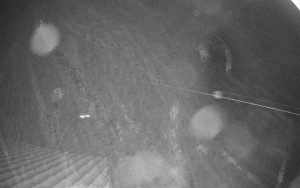 Sport areál České Petrovice - Sjezdovka B - 14.12.2025 v 22:45 Sport areál České Petrovice - Sjezdovka B - 14.12.2025 v 22:45