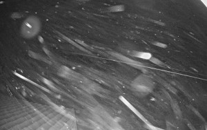 Sport areál České Petrovice - Sjezdovka B - 29.12.2025 v 02:30 Sport areál České Petrovice - Sjezdovka B - 29.12.2025 v 02:30