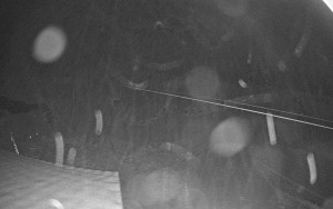 Sport areál České Petrovice - Sjezdovka B - 4.2.2026 v 04:15 Sport areál České Petrovice - Sjezdovka B - 4.2.2026 v 04:15