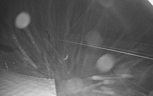 Sport areál České Petrovice - Sjezdovka B - 4.2.2026 v 05:45 Sport areál České Petrovice - Sjezdovka B - 4.2.2026 v 05:45