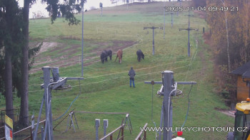 Snímek    4.11.2025 v 10:00