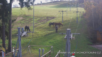 Snímek    4.11.2025 v 12:45