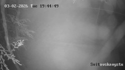 Sjezdovka Svitavská